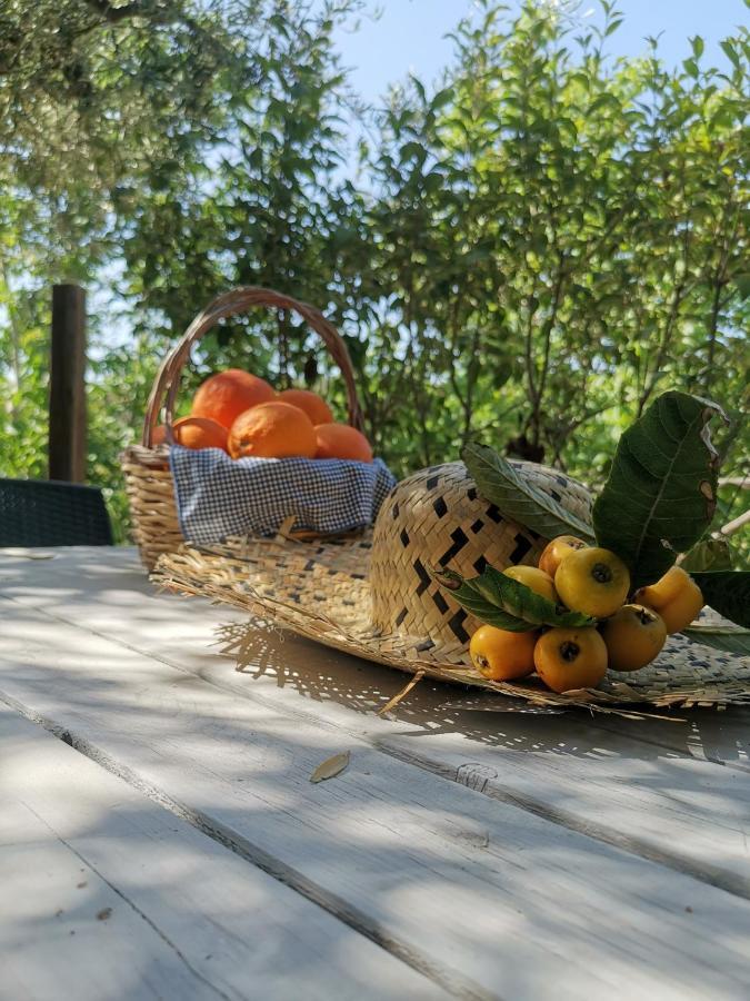 La Fattoria Dei Nonni Landhaus Paterno (Sicily)