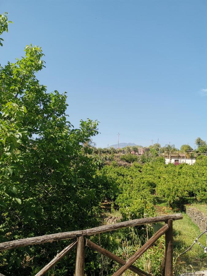 La Fattoria Dei Nonni Landhaus Paterno (Sicily)