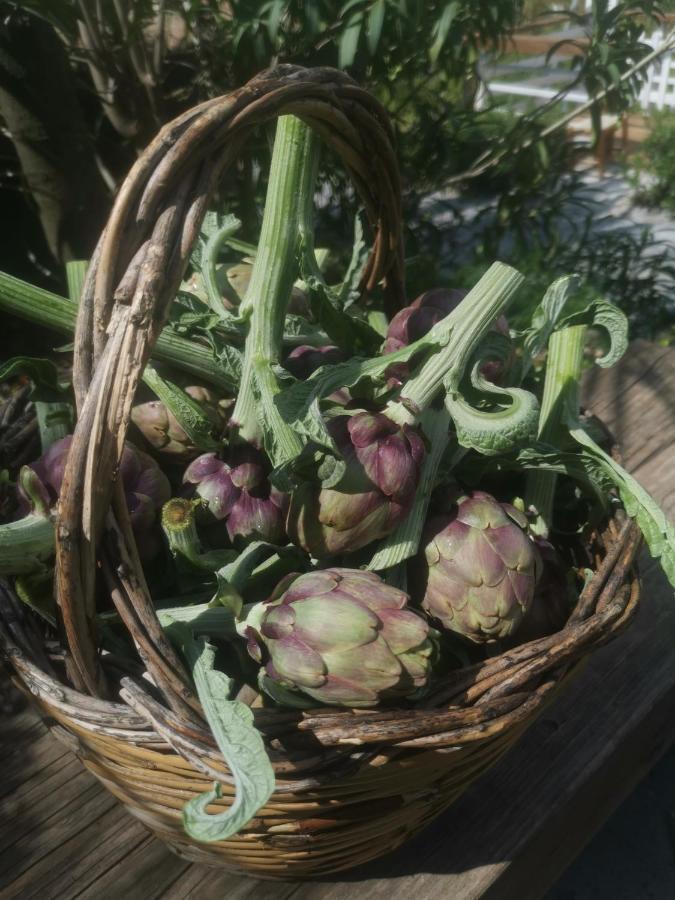La Fattoria Dei Nonni *