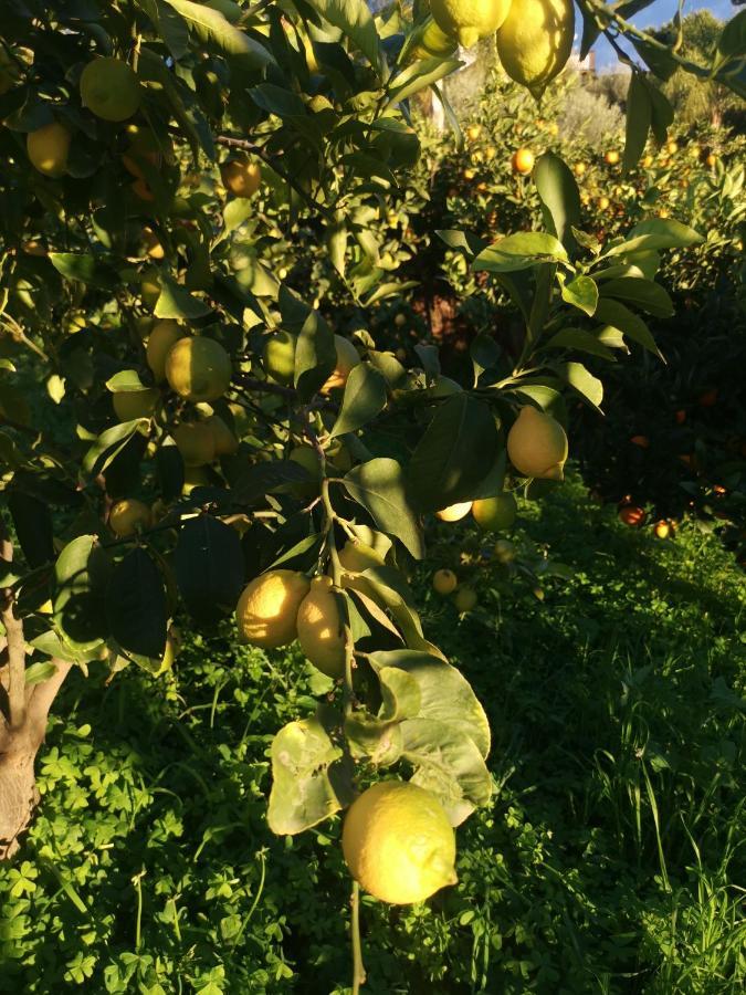 La Fattoria Dei Nonni *