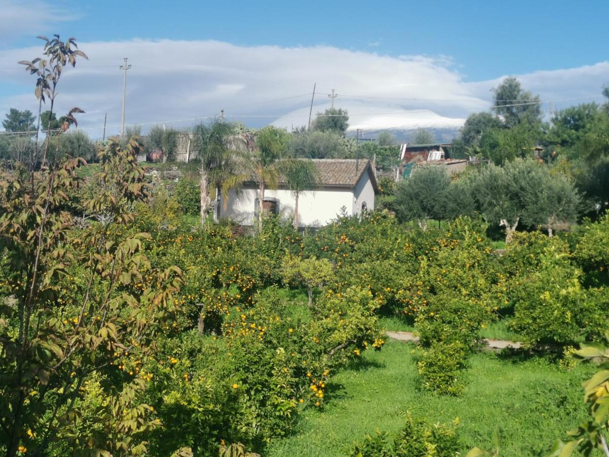 La Fattoria Dei Nonni