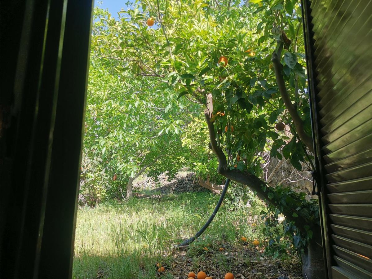 Landhaus La Fattoria Dei Nonni Paterno (Sicily)
