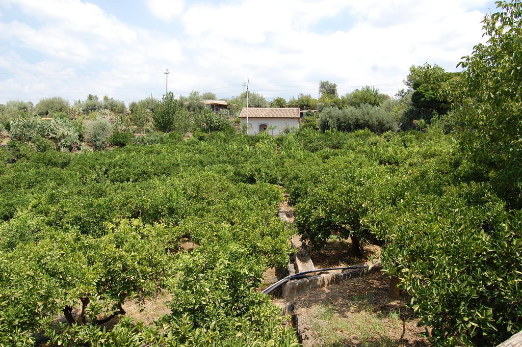 La Fattoria Dei Nonni Paterno (Sicily)