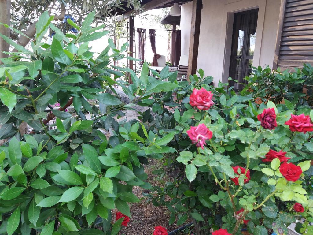 La Fattoria Dei Nonni Paterno (Sicily)